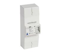 Legrand Disjoncteur de branchement 401002 – Bipolaire différentiel 500 mA instantané 90 A