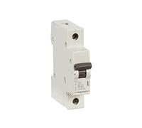 Legrand 419134 Disjoncteurs B10 A / 30 mA 1 Pôle 230 / 400 V, 1 Unité