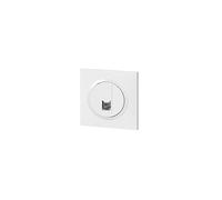 Legrand 600777 Prise RJ45 catégorie 5e FTP dooxie one livré avec plaque carrée blanche