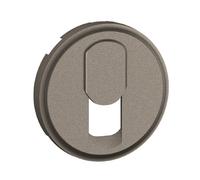 Legrand Céliane CT0340 - Titane