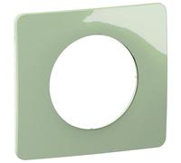 Legrand CP0521 Plaque de commutation et obturateur Vert