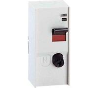 Legrand interrupteur pac avec cartouche fusible 1 phase + 4600w maxi en 230v 1068739 Incolore G