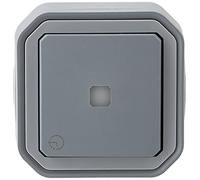 Legrand - Interrupteur temporisé lumineux étanche Plexo livré complet avec voyant pour montage en apparent gris