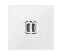 Legrand – Double chargeur USB-A Neptune – Repiquage sur prise 2P+T – Blanc