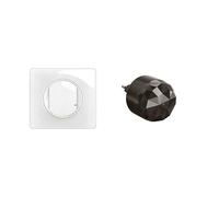 LEGRAND - Pack de Démarrage pour Éclairage Connecté Céliane with Netatmo - 1 Interrupteurrupteur Connecté avec Option Variation + 1 Passerelle de Connexion - Blanc Emaillé