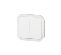 Commande Double Interrupteur Ou Poussoir Plexo Composable Blanc (069625l)