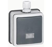 Legrand 090460 Interrupteur ou Va-et-vient Étanche à Voyant Plexo, IP66, 10A, 250V, Gris