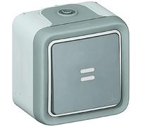 Legrand 069712 Interrupteur ou va-et-vient Témoin Étanche, Plexo Complet Saillie, 10AX, 250V, Gris