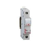 Legrand 005810 Coupe-Circuit pour Cartouche Cylindrique Domestique, 20A, 1P, Gris