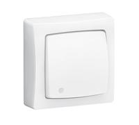 Legrand Poussoir lumineux NO-NF complet Appareillage saillie blanc