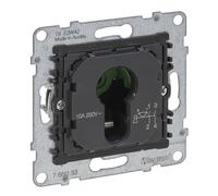 LEGRAND, Seano 765033 Insert pour interrupteur à clé 0-1 pour demi-cylindre DIN bornes à vis 2 positions 0-1 2 broches 10 A 230 V