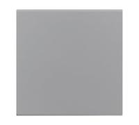 LEGRAND, Seano 765205 Bascule pour interrupteur à 2 pôles, couvercle d'interrupteur, plaque à bascule, couleur : aluminium laqué