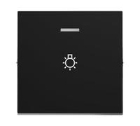 LEGRAND, Seano 765316 Bascule avec symbole de lumière pour interrupteur va-et-vient éclairé, bouton-poussoir et interrupteur, couvercle d'interrupteur, plaque à bascule, couleur : anthracite laqué