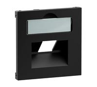 LEGRAND, Seano 765358 Cache 1 x RJ45 pour boîtes de données de Metz, jardinier télé et support de canne, avec champ d'inscription, couleur : noir laqué