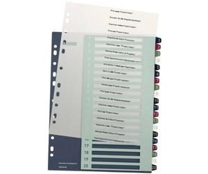 Leitz 1239 Style Répertoire DIN A4 1-20 polypropylène multicolore 20 onglets extra-large, imprimable 1239-00-00