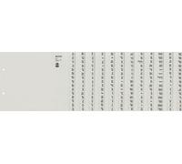 Leitz 1312-00-85 1312 Intercalaires - A-Z, papier, A4 grande largeur, pour 12 dossiers, gris
