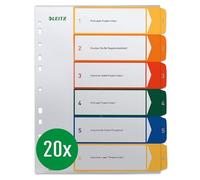 Leitz 19200000 Lot de 20 intercalaires en plastique imprimables Format A4 6 feuilles colorées