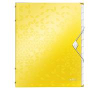 Leitz A4 Divider Book, Holds Up to 200 Sheets, Integrated Index with 12 Compartm