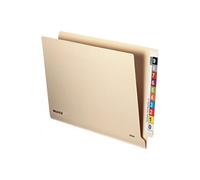 LEITZ Einstellmappe OrgacolorPlus, A4, mit Tab, chamois