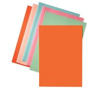 Leitz Esselte Cardboard Folder Rose 80 g/m2