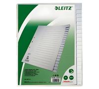 LEITZ Intercalaire A4 vierge gris lxH 24x30cm onglets renforcés