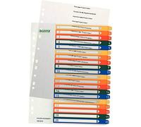 Leitz 1296 Répertoire DIN A4 1-20 polypropylène multicolore 20 onglets extra-large, imprimable 12960000
