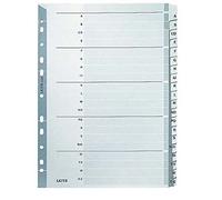 Leitz Intercalaires A4 A-Z, Touches et Bande Perforée Renforcées en Mylar, Carton Résistant, Gris, 20 Onglets avec Table des Matières, 43280000