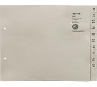 LEITZ Intercalaires en papier de tulle, A-Z, pour 100 classeurs, gris