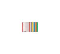 Leitz Intercalaires, Format A4 Extra Large, En Carton Solide