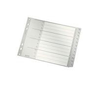 Leitz Intercalaires Mensuels Dec-Jan, Mi-Hauteur, Extra-Large, Onglets Renforcés en Plastique Résistant avec Table des Matières, Gris, 12880085