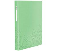 Leitz Reliure Protège-Documents A4, 80 Pochettes, Capacité 160 Feuilles, Pochettes Transparentes, Vert, Urban Chic, 46 520 050