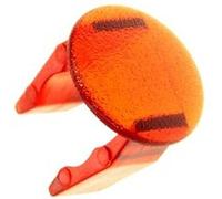 Lentille d'origine Four, cuisinière C00312211, 481238118284 WHIRLPOOL