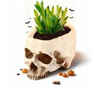 Leopacat Pot Fleurs CrâNe RéSine, Gothique 16,5Cm Contenant DéCoratif | Parfait Pour DéCorer Maison Et Bar, Ranger Des Petits Objets Ou Stocker Des Snacks Pendant Halloween
