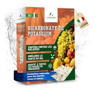 LERAVA® Bicarbonate de Potassium - 250g - Fongicide Plantes Naturel contre l’Oïdium & les Maladies Fongiques | Régulateur de pH pour Sol & Plantes | Idéal pour Fruits, Légumes, fongicides pour jardin