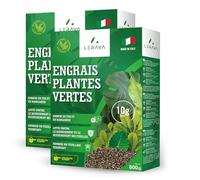 LERAVA Engrais Plantes Vertes Intérieur (2x800 g) - Engrais Bio avec Fer et Manganèse pour Feuillage Vigoureux - Nutrition Complète pour Plantes Vertes Intérieur et Extérieur