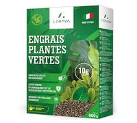 LERAVA Engrais Plantes Vertes Intérieur (800 g) - Engrais Bio avec Fer et Manganèse pour Feuillage Vigoureux - Nutrition Complète pour Plantes Vertes Intérieur et Extérieur