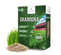 LERAVA Gazon à semer Cynodon dactylon (1 kg) - Pour 100 m² - Résistant au piétinement et à la sécheresse - Idéal pour pelouses méditerranéennes et côtières - Consomme jusqu’à 20% d’eau en moins