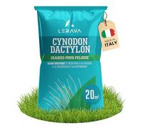 LERAVA Gazon à semer Cynodon dactylon (200 g) - Pour 20 m² - Résistant au piétinement et à la sécheresse - Idéal pour pelouses méditerranéennes et côtières - Consomme jusqu’à 20% d’eau en moins