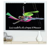 Les cadets du cirque à Monaco (Calendrier mural haut de gamme 2027 DIN A2 vertical), CALVENDO calendrier mensuel: New Generation est le spectacle ... du Cirque de Monte-Carlo, les futurs stars.