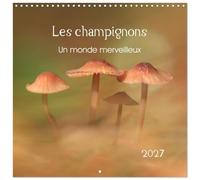 Les champignons - Un monde merveilleux (Calendrier mural carré 2027 30 x 30 cm) Calendrier double avec une page pour vos prises de notes