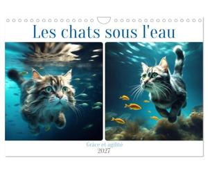 Les chats sous l'eau (Calendrier mural 2027 DIN A4 vertical), CALVENDO calendrier mensuel: Découvrez la grâce aquatique de nos amis félins.