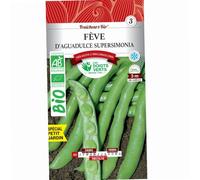 Les doigts verts Graines fèves d'Aguadulce Supersimonia Bio 100g