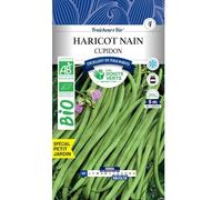 Les doigts verts Graines Haricot Nain Cupidon Bio 100g