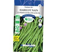 Les doigts verts Graines Haricot Nain Cupidon Bio 30g