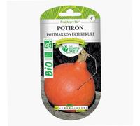 Les doigts verts Graines potiron potimarron Uchiki Kuri Bio