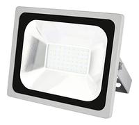 Les emos * Model, réflecteur LED 30 W, aluminium, Professionnel, Silver, 23,5 x 12 x 21 cm