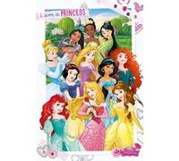 Les Princesses Disney - 61x91,5 cm - AFFICHE / POSTER G