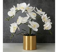LESING Orchidée Artificielle avec Vase, orchidée Blanche, bonsaï, orchidée phalaenopsis pour décoration de la Maison (Blanc, Vase doré)