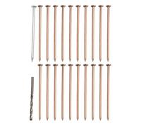 Letturn Lot de 20 clous en cuivre pur pour tuer les racines des souches d'arbres, 10,2 cm avec accessoire de perceuse et clou en acier pour un retrait efficace des souches et un traitement des racines