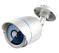 LevelOne ACS-5602 Caméra de sécurité CCTV Extérieur Cosse Plafond/mur